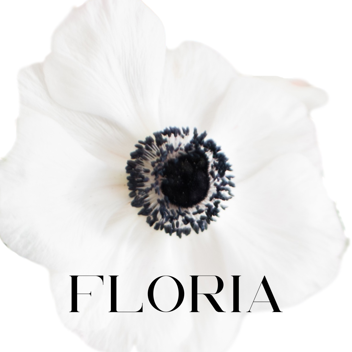 Floria